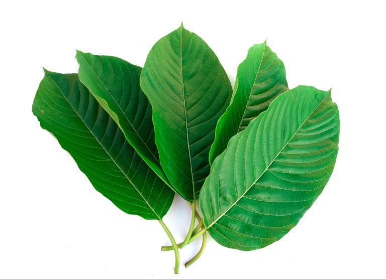 top kratom brands